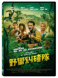 全新歐美影片《亨利先生的秘密》DVD 法布萊斯魯奇尼 卡蜜兒克汀 雷米貝桑松 改編自退稿圖書館 歷史價格詳細信息