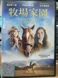 挖寶二手片-Y11-335-正版DVD-華語【最完美的女孩】-張睿家 李毓芬 謝祖武(直購價) 歷史價格詳細信息