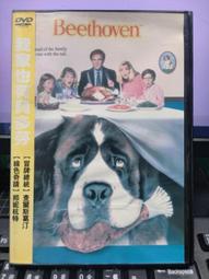 挖寶二手片-Y32-016-正版DVD-電影【我很乖 因為我要出國】-我不笨所以我有話要說續集(直購價)海報是影印 歷史價格詳細信息