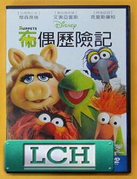 ◆LCH◆正版DVD《艾美的世界／Amy》-瑞琪葛莉菲斯(買三項商品免運費) 歷史價格詳細信息