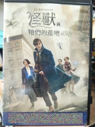 挖寶二手片-D10-099-正版DVD-電影【海盜傳奇:俠盜雙雄】馬里歐阿朵夫 波羅薩岡堤 歷史價格詳細信息
