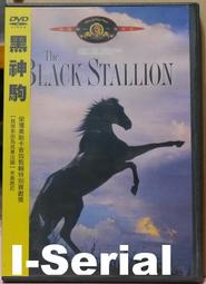 B5/串聯影音DVD/ 全新品 / 大謊言家_BIG FAT LIAR 歷史價格詳細信息