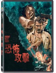合友唱片 實體店面 狙擊救援 AIMEE DVD 歷史價格詳細信息