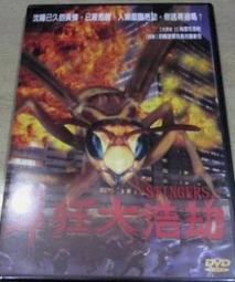 ~~風之谷~~二手DVD / 戀愛書成班 / 盧克威爾遜/蘇菲瑪索/凱特哈德森 主演 (中文字幕) 歷史價格詳細信息