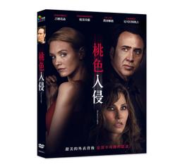 森森桃子可愛小鸚鵡 鑰匙圈五款-滿599免運 歷史價格詳細信息