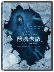 i see you貓咪卡片*不哭鳥 歷史價格詳細信息