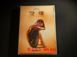 DVD:變色龍/藤原龍也,水川麻美主演/新品未拆 歷史價格詳細信息