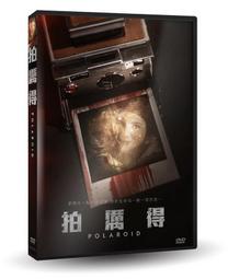 合友唱片 厲陰宅前傳 Annabelle 安娜貝爾 全新正版 DVD 面交 自取 歷史價格詳細信息