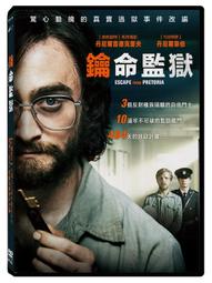 【Pretorian．2副免運】教練推薦*促銷中3折． 拳擊手套、有氧、MMA、散打、手套、拉力繩、格鬥、沙包、健身 歷史價格詳細信息