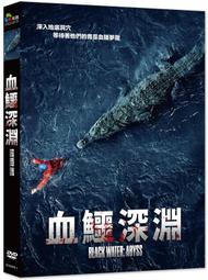 合友唱片  深入魔境 DVD Hell Trip DVD 歷史價格詳細信息