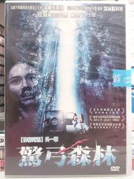 挖寶二手片-O09-003-正版DVD-電影【血色入侵】莉娜萊恩德爾森 凱爾赫德布朗特(直購價) 歷史價格詳細信息