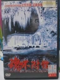 派瑞艾 Mighty Max 萬能麥斯 量子界域 征服下水道鱷魔 2025/2月發售 歷史價格詳細信息