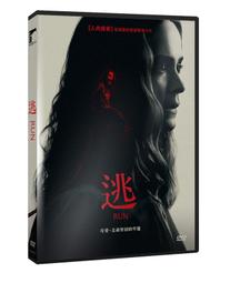 [RUN] 台灣製MIT 高強度 石墨烯塑型褲 歷史價格詳細信息