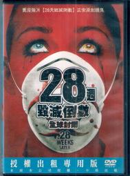 毀滅倒數DVD 艾力克斯派帝佛＆艾莉絲伊芙 WARNING 台灣正版全新111/2/18發行 歷史價格詳細信息