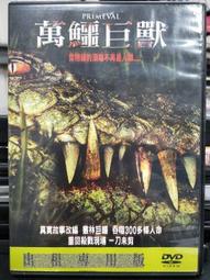 挖寶二手片-G01-010-正版DVD-電影【被遺忘的天使】-凱莉麥唐納 蘿西培瑞茲 大衛休利斯(直購價) 歷史價格詳細信息