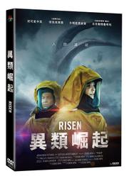 台灣貝類圖鑑 貓頭鷹出版社  9867415582  臺灣貝類圖鑑 賴景陽 歷史價格詳細信息