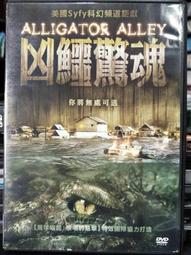 貝福伊✧ Polo 衫男士女士中性 T 恤休閒百搭短袖商務純色上衣 Kemeja Baju Lelaki XC2243-22號穿搭 歷史價格詳細信息