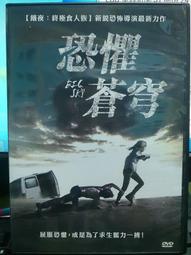 DVD 電影 恐懼的總和 班艾佛列克 摩根費里曼 歷史價格詳細信息