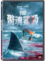 合友唱片 實體店面 自殺突擊隊：集結 瑪格羅比 The Suicide Squad DVD 歷史價格詳細信息