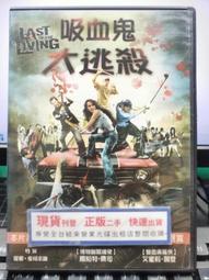 DVD 電影【逃獄兄弟2/逃出行動2】2021年國語 /中字 歷史價格詳細信息