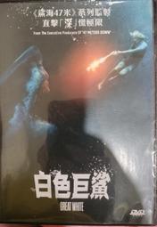 188(r188) 606 688 608不銹鋼混合陶瓷軸承(半陶瓷) 培林指尖陀螺滑板直排輪溜冰鞋飄移板機械用專業版 歷史價格詳細信息