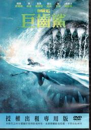 巨齒鯊牙齒化石保真12285 歷史價格詳細信息