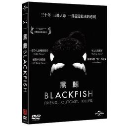 合友唱片 黑執事 真人版 全新正版 DVD 剛力彩芽 山本美月、優香 面交 自取 歷史價格詳細信息