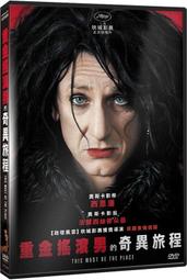 ◆LCH◆正版DVD《搖滾夏令營1+2：搖滾萬歲》-強納森兄弟、黛咪羅法托(買三項商品免運費) 歷史價格詳細信息