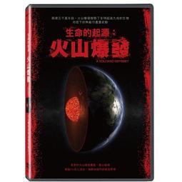 全新韓影《驚駭糖果屋》DVD千正明 (強敵 流行70s 灰姑娘的姐姐) 歷史價格詳細信息
