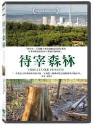 【全新品】森林系 質感藤編大容量單肩包 手提袋包 草編包 藤編包 編織包 度假風 南洋風 卡其色 歷史價格詳細信息