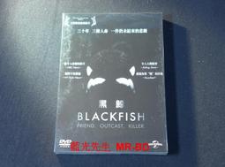 DVD 黑塔  DVD 台灣正版 二手；改編自史蒂芬金系列小說；影帝馬修麥康納&lt;青蜂俠&gt;&lt;蝙蝠俠&gt;&lt;創&gt;&lt;阿凡達&gt; 歷史價格詳細信息