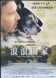 浪浪回家路DVD 首批加贈「限量電影精美明信片」乙張 Gump 台灣正版全新 歷史價格詳細信息