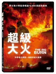 BURN THE WITCH 龍與魔女 1 首刷 書腰版 東立 漫畫 死神 BLEACH 作者 久保帯人 歷史價格詳細信息