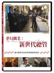 夢幻新誅仙 VIP禮盒  精美限量周邊禮盒 附袋子 歷史價格詳細信息