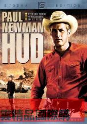 【精品質保 售後無憂】歌德利YH13電腦椅人體工學椅舒適學習辦公椅子書房轉椅乳膠老板椅 歷史價格詳細信息