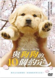 DVD狗狗行為矯正書，10分鐘項圈訓練法 歷史價格詳細信息