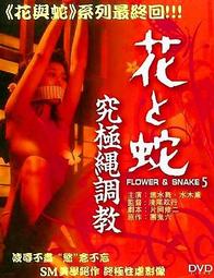 全新影片《慾望城市電影版 》DVD 好萊塢時尚教主莎拉潔西卡帕克 年度最新浪漫喜劇 歷史價格詳細信息