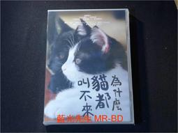 【台南】NANYA 512MB/DDR2-667(PC2-5300) DDR2 SDRAM/NB用 雙面顆粒 歷史價格詳細信息