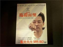 臨淵劍 應淵劍 帝尊劍 仙俠劍 龍泉寶劍 八面漢劍 百煉花紋鋼 超精緻金屬刀劍 禮物收藏  娛樂休閒 鎮宅風水 高級送禮 歷史價格詳細信息