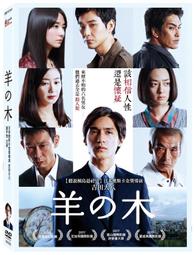 日本木之實圓盤13.5cm紅 歷史價格詳細信息