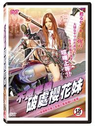 【花妹】廚房清潔用品清潔球洗碗抹布洗刷大王海綿擦手~爆款 歷史價格詳細信息