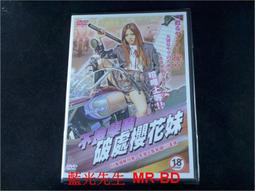 【花妹】廚房清潔用品清潔球洗碗抹布洗刷大王海綿擦手~爆款 歷史價格詳細信息