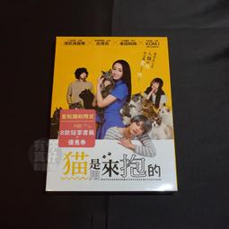 全新日影《鬼龍院花子的生涯》DVD 仲代達矢 夏目雅子 岩下志麻 丹波哲郎 五社英雄 宮尾登美子 歷史價格詳細信息