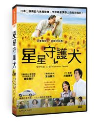 515二階段莫代爾少女內衣背心文胸女童發育期透氣無鋼圈學生內衣 歷史價格詳細信息