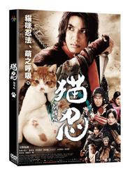 梨形110V 800W 碳素燈管(低亮高熱) 附奶嘴端子 歷史價格詳細信息