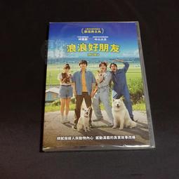 藤田惠美 心靈時光CD 台灣正版全新109/11/27發行 歷史價格詳細信息