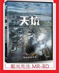 [藍光先生DVD] 天才貓奴畫家 The Electrical Life of Lo (采昌正版) 歷史價格詳細信息