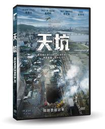 熱門韓影《比天堂更近的美麗》DVD河智苑(秘密花園 奇皇后) 金明敏(貝多芬病毒) 歷史價格詳細信息