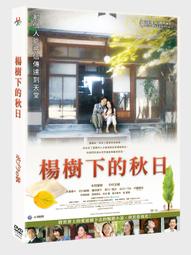 大楊樹藍瑪瑙原石大的.小的特別好極品高藍喜歡來正品保證#A貨翡翠玉石#春日出游必備#潮流盲 歷史價格詳細信息