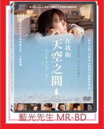 [藍光先生DVD] 華麗人生 Gloss ( 台灣正版 ) 歷史價格詳細信息